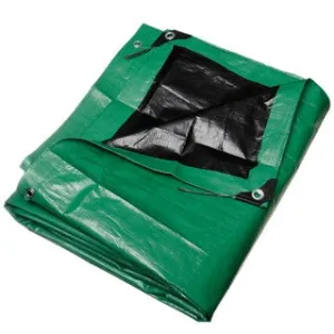 15' x 30' Heavy Duty Green/Black Poly Tarp (10 mil)