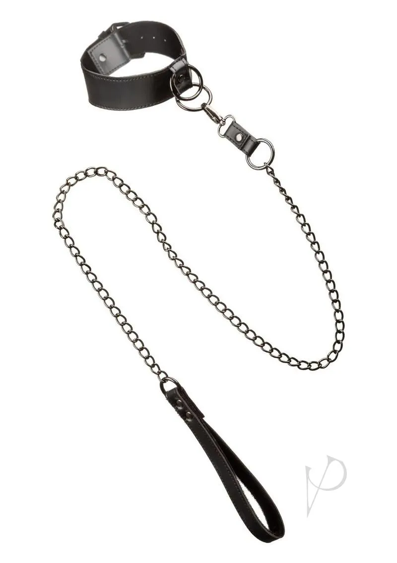 Euphoria Coll Collar W/chain Leash
