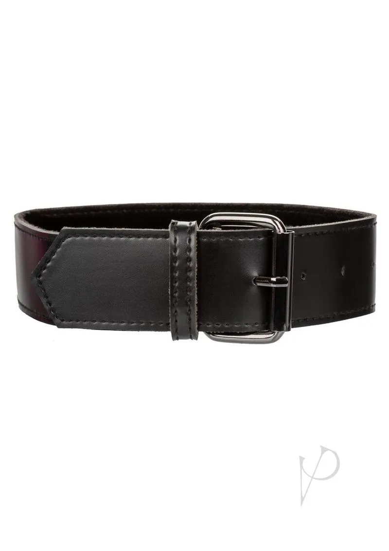Euphoria Coll Collar W/chain Leash